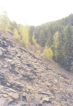 foto_lokalita_cermensky_mlyn2.jpg