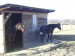 PICT0161.JPG